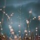 Illustration for article titled 48 Photos Of Autumn Around The World